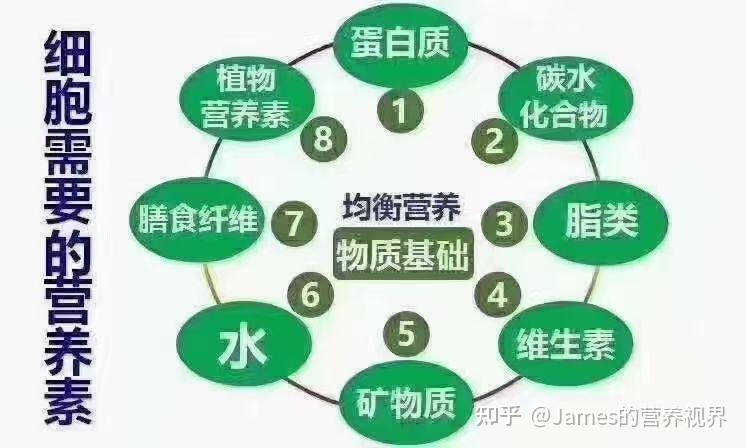 运动食用蛋白质棒有用吗?(图1)