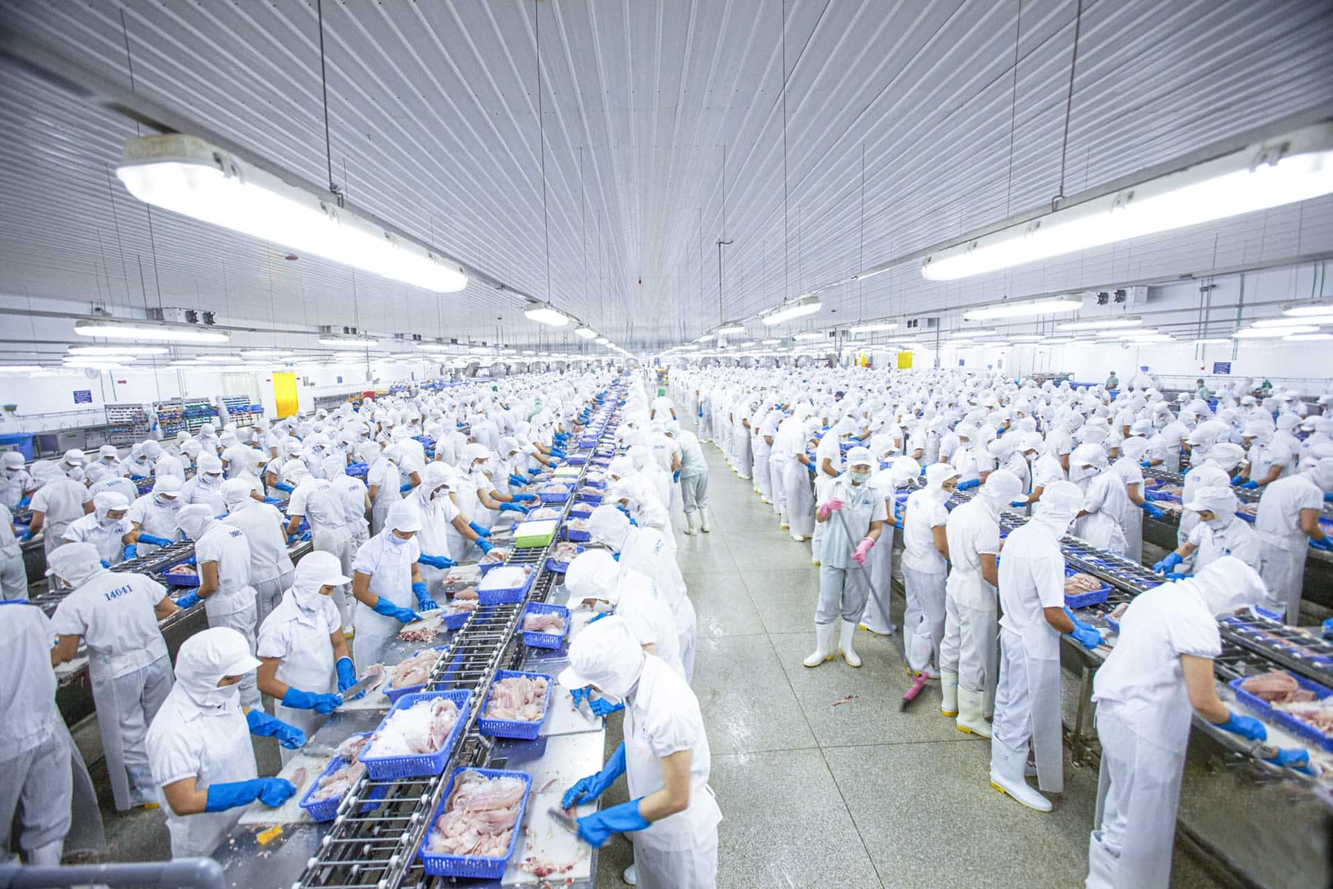 实拍机器人制作冰激凌36℃高温下你会下单吗？｜青测(图1)